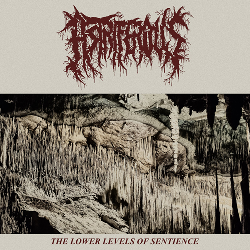 Astriferous - The Lower Levels Of Sentience LP