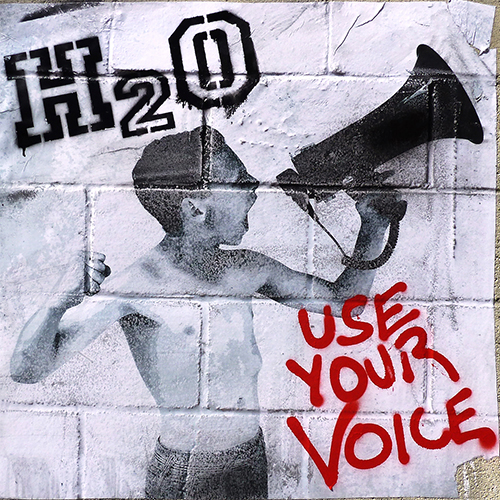 H2O - Use Your Voice LP