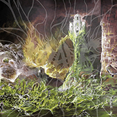 Grave - Into The Grave (ultra clear cokebottle green)