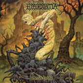 Hyperdontia - Split LP