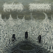Hyperdontia -  EP