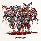 Insanity - Demo 1985