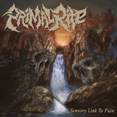 Primal Rite - Sensory Link To Pain