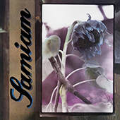 Samiam - Self Titled (clear vinyl)