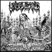 Undergang - Aldrig I Livet LP